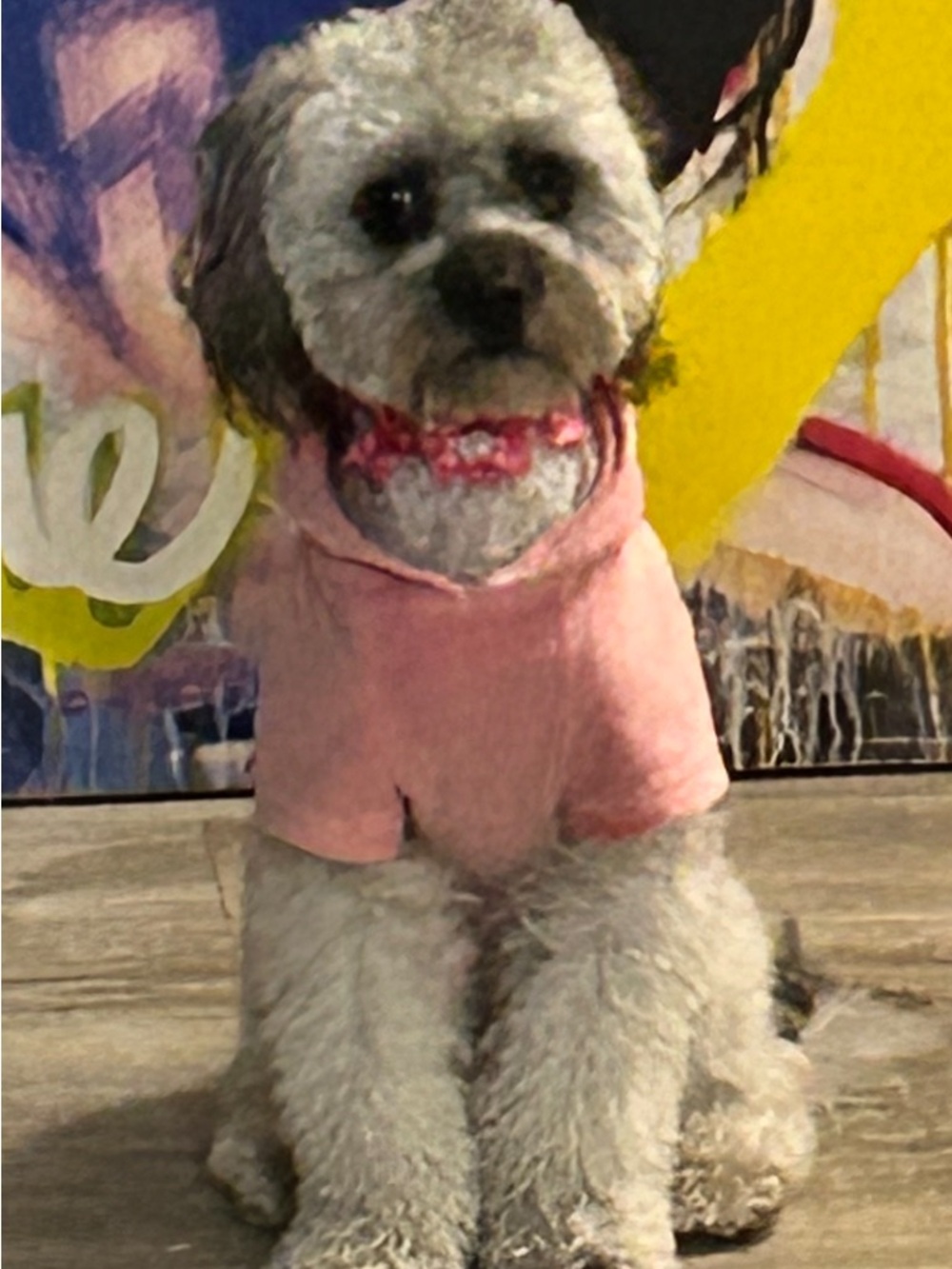 Juicy Couture Pink BLING VELOUR PET HOODIE - Picture 7 of 9